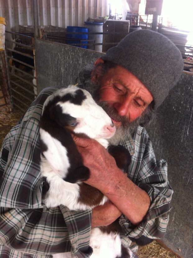 the voice of the Jewish shepherd in Judea Israel